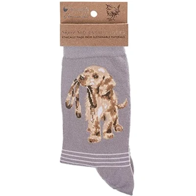 Image of Wrendale Designs &#039;Hopeful&#039; Labrador Socks One Size