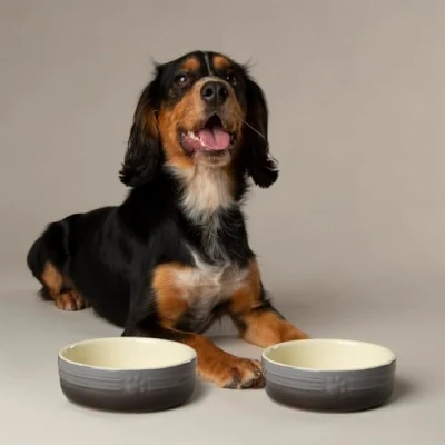 Image of Scruffs Ombre 2pc Ceramic Dog/Pet Bowl Set Grey 13cm