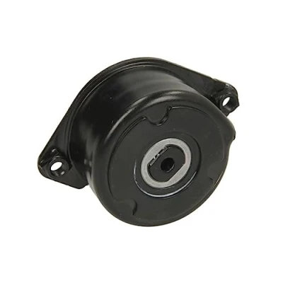 Image of PQS101710, PQS101710L Tensioner Lever, v ribbed belt INA 534 0171 10 BMW: X5, 3 Touring, Saloon