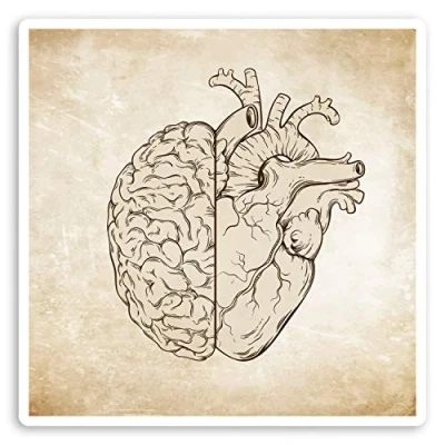 Image of 2 x 10cm Vintage Human Brain Heart Vinyl Stickers Biology Science Sticker #34416 (10cm Wide)