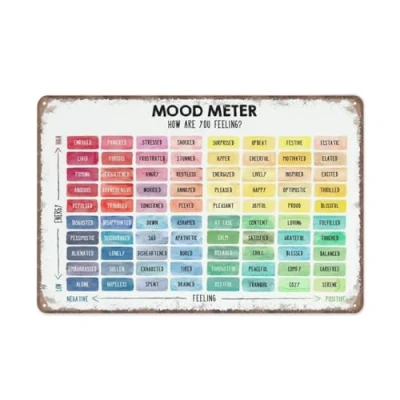 Image of KOPUTE Mood meter digital Poster print, Feelings Thermometer, Zones of regulation, Self chart,Retro Metal Wall Art Kitchen Garden Farm Home Decoration,tin sign 30X40cm