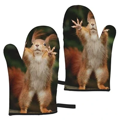 Image of Oven Gloves Squirrel Funny Animal Mitts,Heat Resistant Cooking Glove Microwave Baking Mitts (1 Pair)