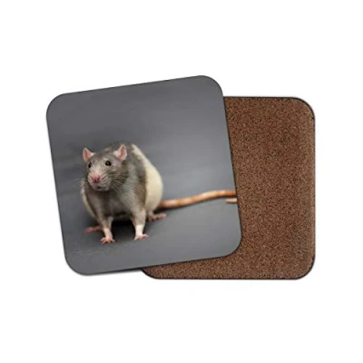 Image of 1 x Cute Fancy Rat Coaster Pet Rats Rodent Mouse Mice Fun Kids #14158