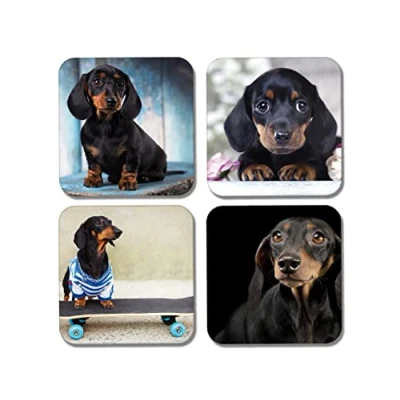Image of DV DESIGN 4 x Square Sausage Dog Coasters Dachshund Dogs Animals Pets Drink Gift #77893