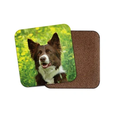 Image of 1 x Brown Border Collie Drinks Coaster Dog Puppy Sheepdog Farmer Fun #8628