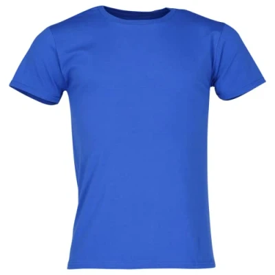 Image of Fruit of the Loom iconic T shirt, sizes S 5XL, royal, 3XL