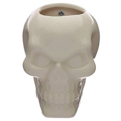Image of Ceramic Skull Garden Wall Planter
