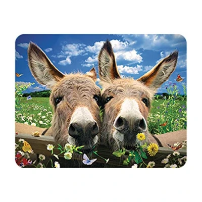 Image of 3D LiveLife Magnet Donkeys from Deluxebase. Lenticular Farm Fridge Magnet. Magnetic decor for kids and adults with artwork licensed renowned artist, David Penfound