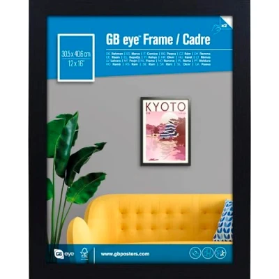 Image of GB eye Contemporary Wooden Black Picture Frame 30.5 x 40.6cm