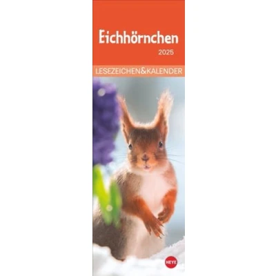 Image of Eichhörnchen Lesezeichen &amp; Kalender 2025: Süße kleine Aufmerksamkeit zu Weihnachten für Tierfreunde: Niedliche Eichhörnchenfotos, praktischer kleiner ... in einem! (Lesezeichen Heye)