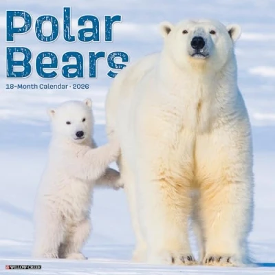Image of Polar Bears Calendar 2026