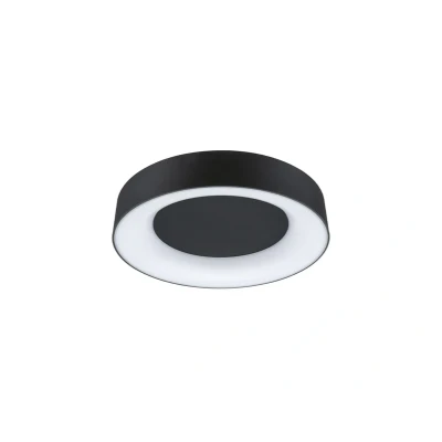 Image of Paulmann HomeSpa Casca ceiling light Ø40cm black