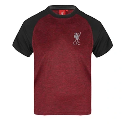 Image of Liverpool FC T Shirt Boys Poly Official Gift Red Marl 2 3 Years