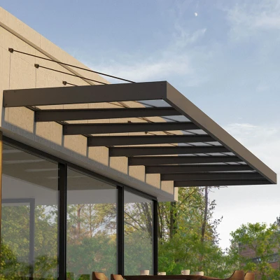 Image of 24â7 x 4â7 Palram Canopia Sophia XL 8000 Grey Clear Door Canopy (7.5m 1.4m)