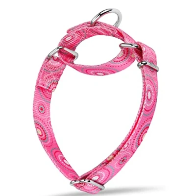 Image of Dazzber Martingale Collars for Dogs Soft Adjustable Dog Collar, Durable D ring Heavy Duty, Choke Collar Large Medium Small (Medium, 2.5cm Wide, Cand Pink)