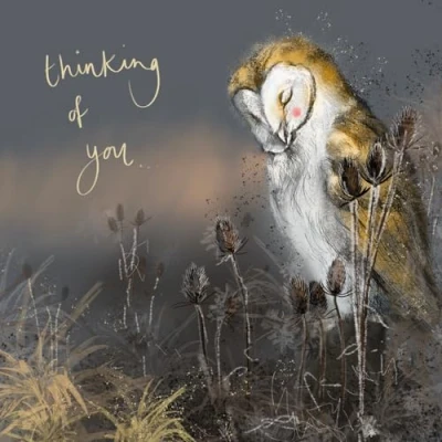 Image of Alex Clark Thinking of You Barn Owl Sympathy Get Well Soon Fine Art Watercolour Designed and Printed in UK