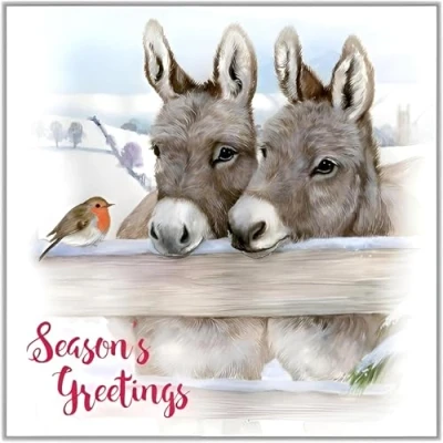 Image of Charity Christmas Cards pack of 10 2024 with Donkeys and Robin Design Eco Friendly Xmas Multipack Envelopes Marie Curie Cancer Care Save The Children