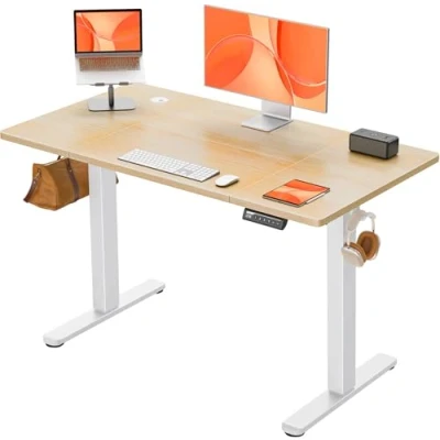 Image of ErGear Electric Standing Desk, Height Adjustable Desk 120 x 60cm, Computer with 4 Memory Smart Pannel, Home Office Splice Board