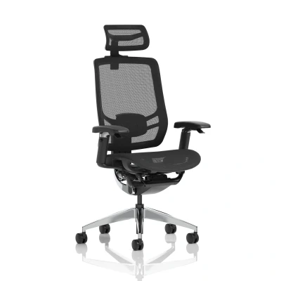Image of Ergo Click Black Mesh Seat Back with Headrest