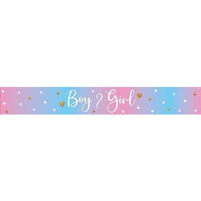 Image of 9ft Banner Boy or Girl Gender Reveal Holographic