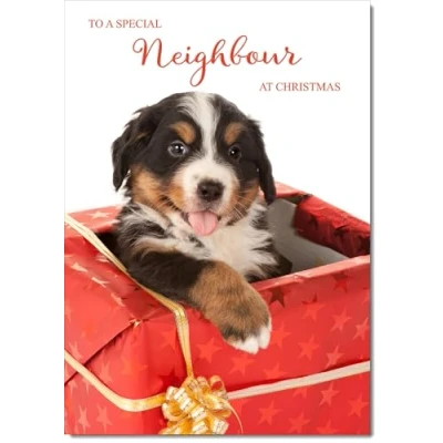 Image of doodlecards Neighbour Christmas Card Dog in Parcel Medium Size for with Plain Envelope