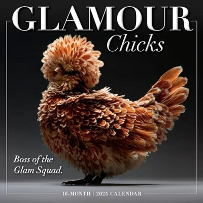 Image of Glamour Chicks 2025 Wall Calendar, 16 Month Humor &amp; Comic 12&quot; x