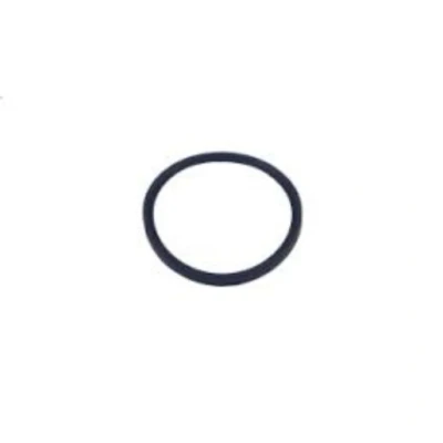 Image of Worcester Bosch Seal 100mm X 8mm 87161116730