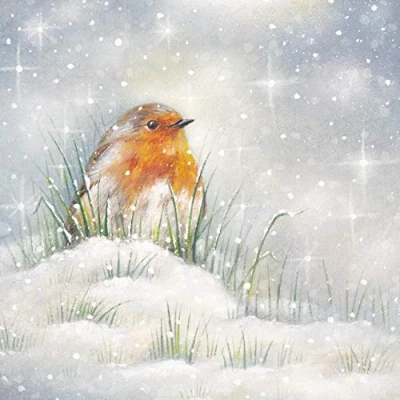 Image of Pack of 6 Charity Christmas Cards (MED CHMT0038) Majestic Robin Stunning Artistic from Medici Sold in Aid Marie Curie