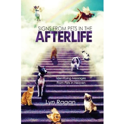Image of Signs From Pets In The Afterlife: Identifying Messages Heaven