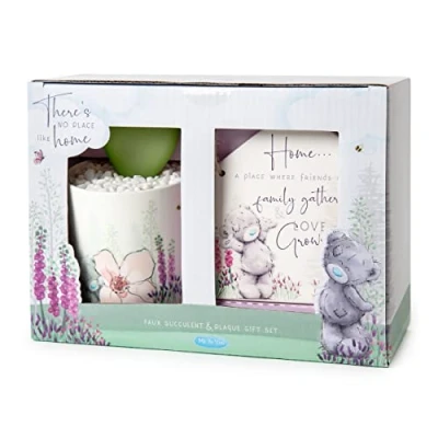 Image of Me to You Tatty Teddy Faux Succulent and Plaque Gift Set