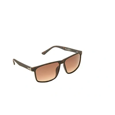 Image of Eyelevel Men&#039;s BRUNO BROWN Sunglasses, One Size