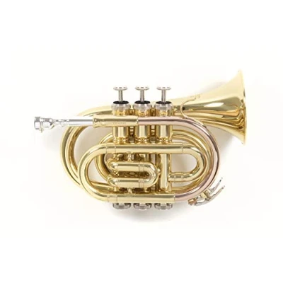 Image of Roy Benson RB701000 Bb Taschen Trompete MOD.PT 101 lackiert, inkl. Etui,Yellow,Gold