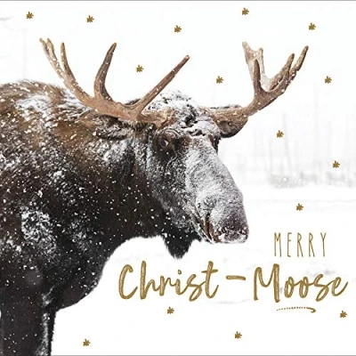 Image of Pack of 5 Delights December Christmas Cards Supporting Multiple Charities 457531
