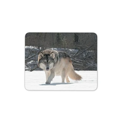 Image of Wild Wolf Mouse Mat Pad Animal Wolves Predator Computer #13159