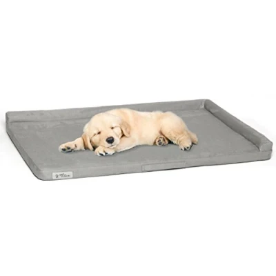 Image of PetFusion PuppyCho