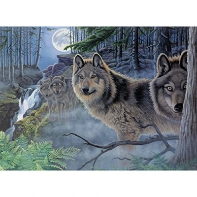 Image of Royal Brush Paint by Number Kit 15.375 inch x 11.25 Mystical Moonlight, Other, Multicoloured, 5.17 42.38 34.76 cm