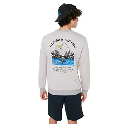 Image of Trendyol Man young Regular Basic Crew neck Knit Sweatshirt Grey
