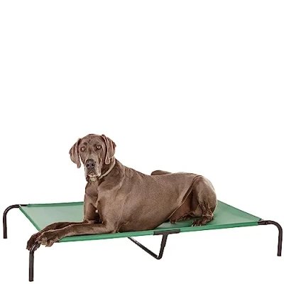 Image of Amazon Basics Raised Dog Bed, Cooling Breathable Elevated Pet XL, Green, 153 x 94 23 cm (L W H)
