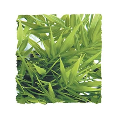Image of zoomed Zoo Med BU 29 Madagascar Bamboo, Medium