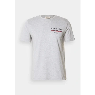 Image of GANT Men&#039;s Graphic Ss T Shirt, Grey Melange, 3XL