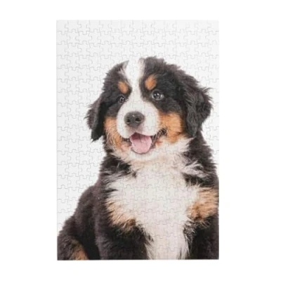 Image of Puzzles, Wooden Jigsaw Puzzles Adults Unzip Puzzle 300 pcs Picture puzzle, Bernese Mountain Dog