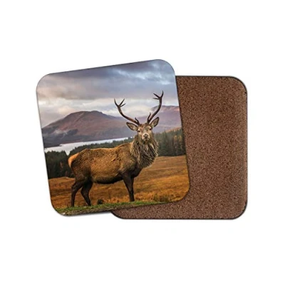 Image of 1 x Majestic Stag Coaster Red Deer Scottish Highlands Wild Mountains #14361
