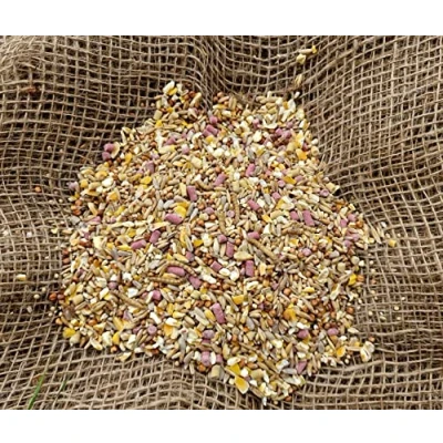 Image of Bamfords Robin &amp; Blackbird Wild Bird Food No Mess Seed Mix 20kg