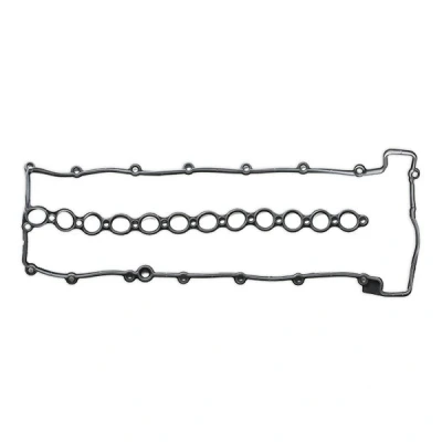 Image of 8510335, LVP000040 Rocker Cover Gasket REINZ 71 37402 00 ACM (Polyacrylate) BMW: X5, 3 Saloon, 5 Touring, LAND ROVER: Range Rover