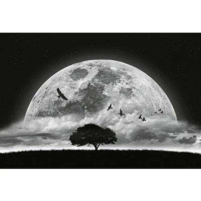 Image of A.S. Création Wallpaper Night Sky Full Moon in Black, White and Grey for Various Rooms Non Woven Wall Chart XXL 384 x 260 cm