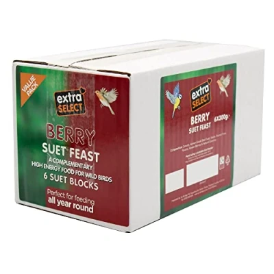 Image of Extra Select Wild Bird High Energy Berry Suet Blocks 6x300gm