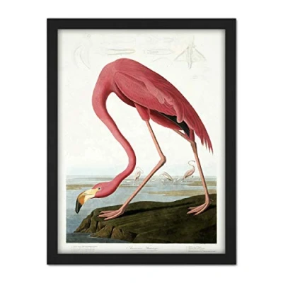 Image of Wee Blue Coo Audubon American Flamingo Artwork Framed Wall Art Print 18X24 Inch