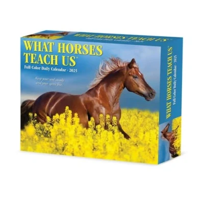 Image of What Horses Teach Us 2025 Box