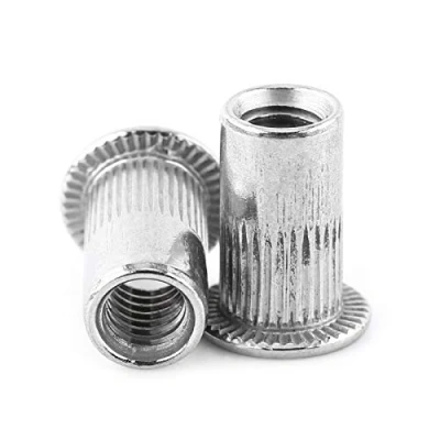 Image of 20 Pcs Blind Rivet Nuts m3 m4 m5 m6 m8 Flat Head Threaded Nut 304 Stainless Steel Machine Screws, Fastener Repair Tool Accessory(M3)