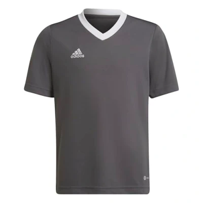 Image of adidas Unisex Kids Entrada 22 Jersey, Team Grey Four, 5 6 Years